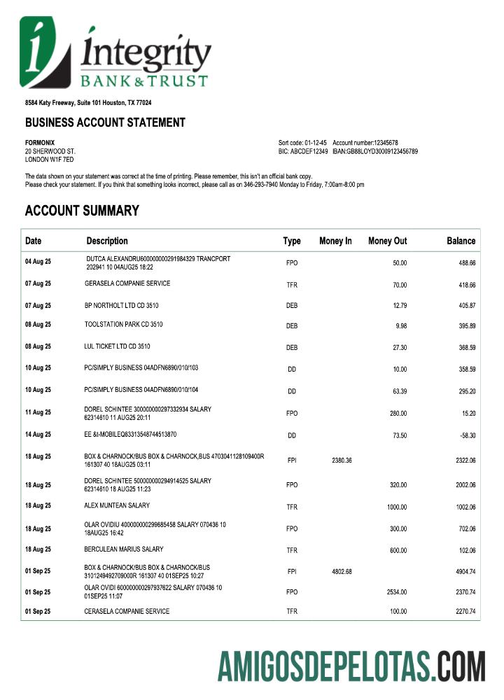 Em branco USA Integrity Firm modelo de extrato de conta Word e PDF